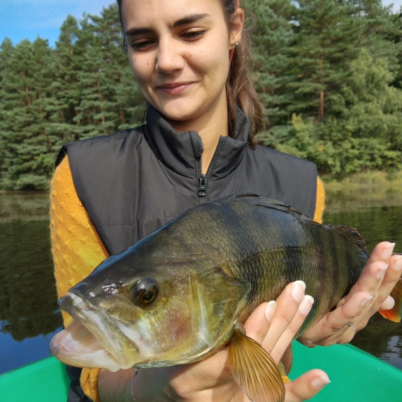 Pêche du brochet en étang privé et nuit en cottage
