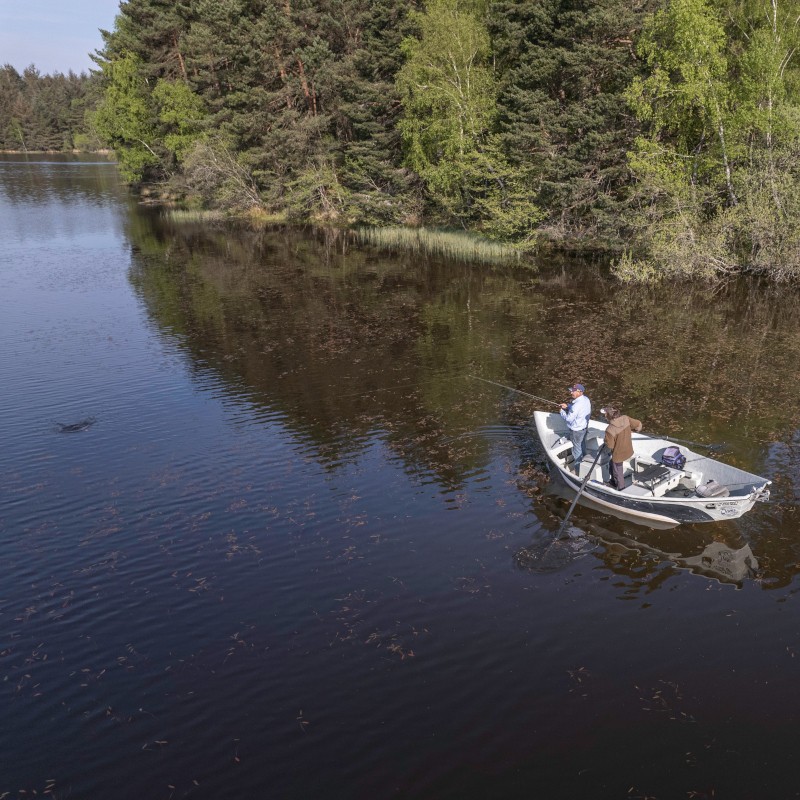 Pêche du brochet en étang privé et nuit en cottage
