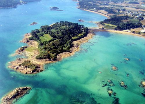 ile à bois