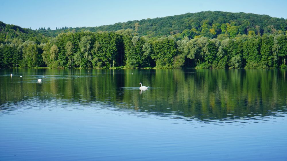 etangs bresle
