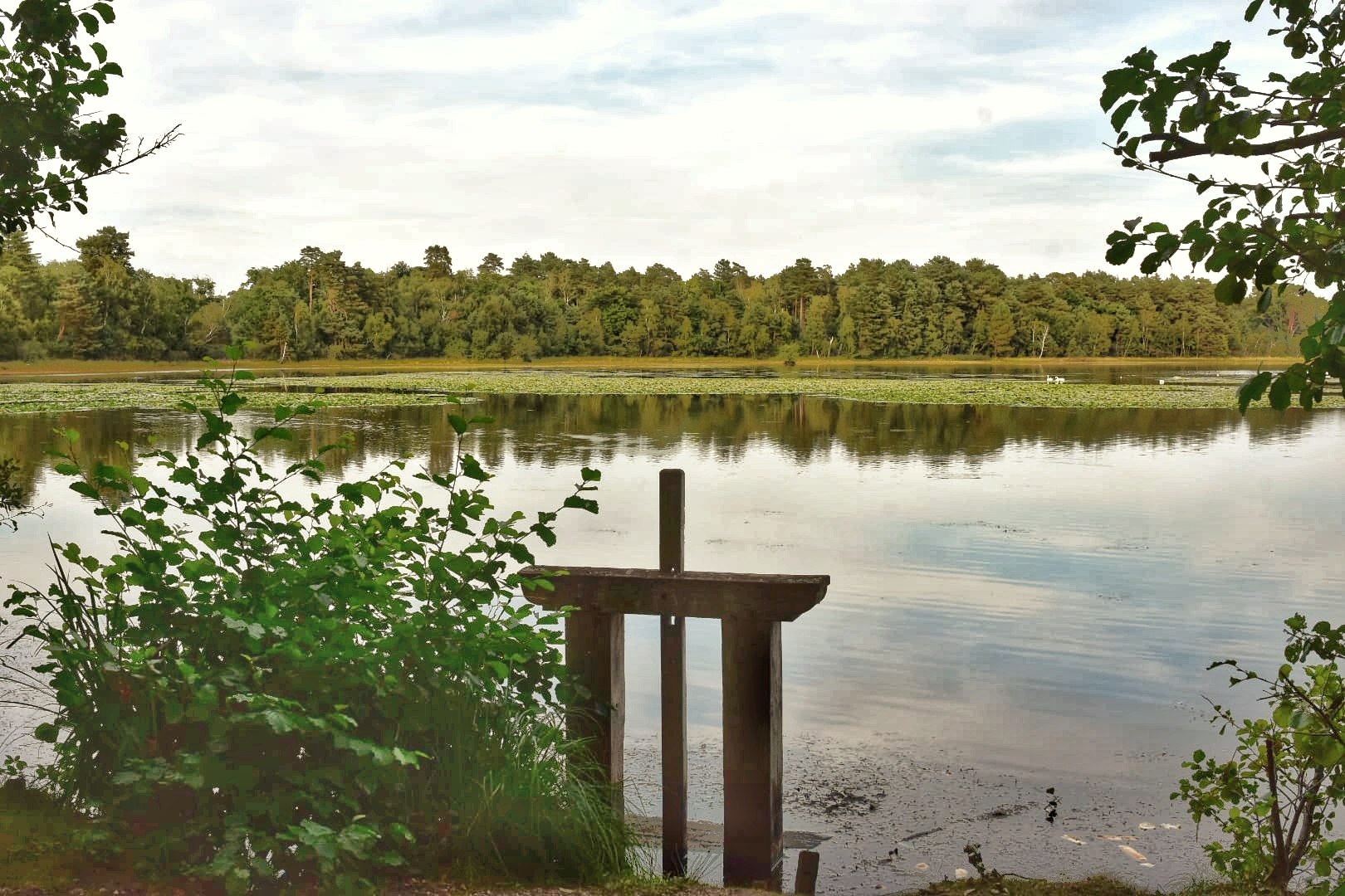 etang des Levrys