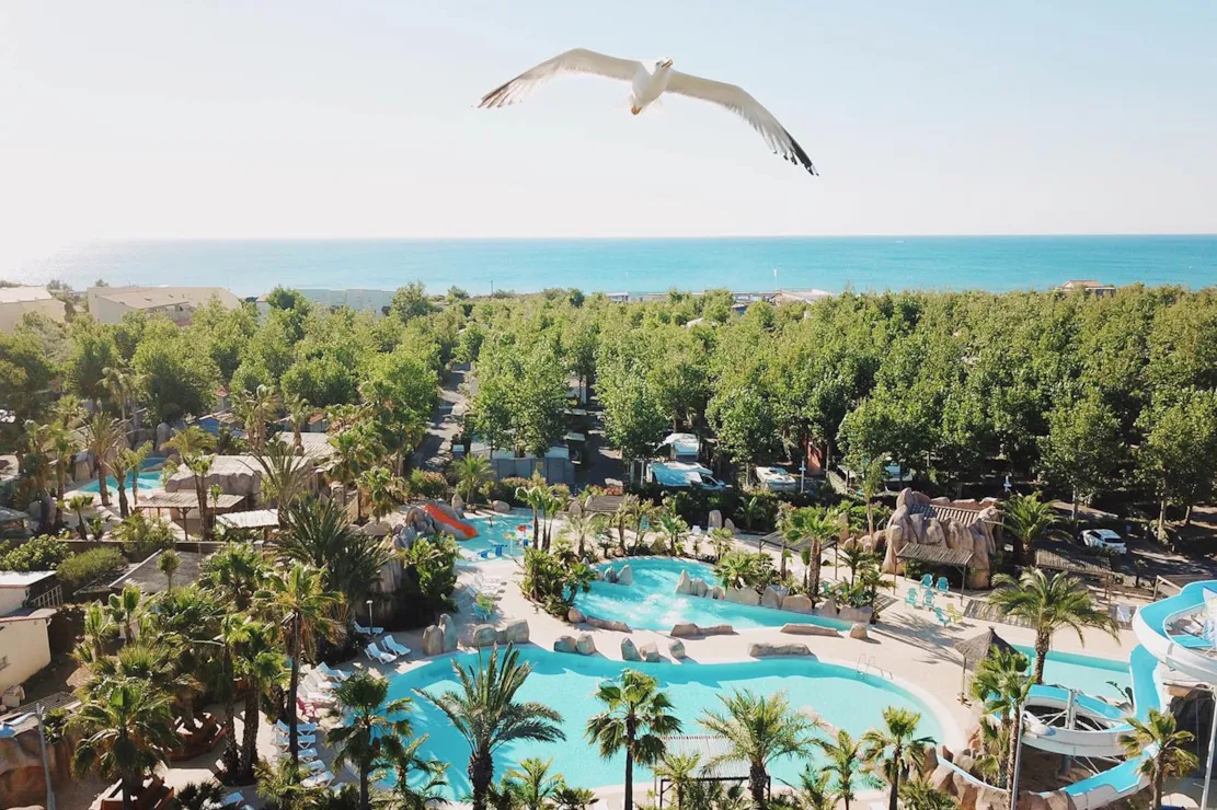 piscine camping nouvelle floride
