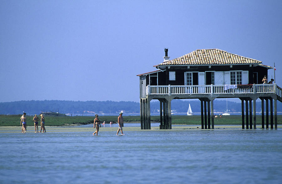Cabane tchanquée bassin d'Arcacgon - Brochard CRTNA