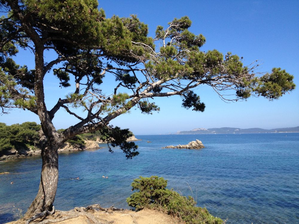 sentier littoral presqu'ile giens