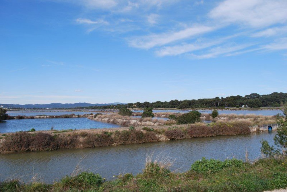 salins-giens