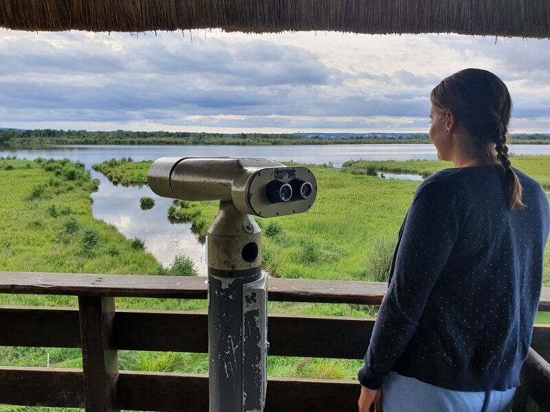 observatoire sur le marais vernier