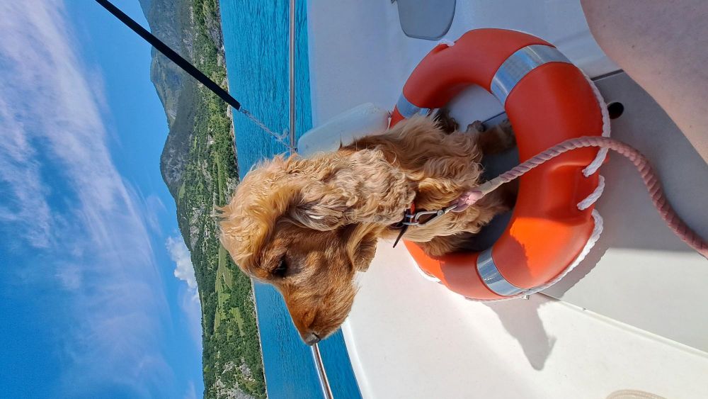 balade en bateau &eacute;lectrique sur le lac