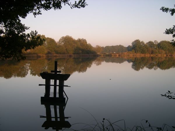 bonde-etang-sologne