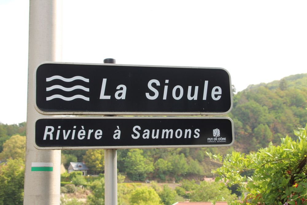 la sioule riviere à saumons