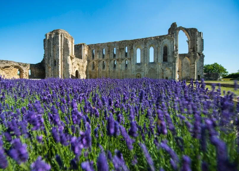 Abbaye de Maillezais