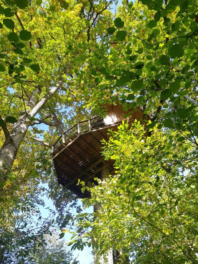 Cabane Guadeloupe
