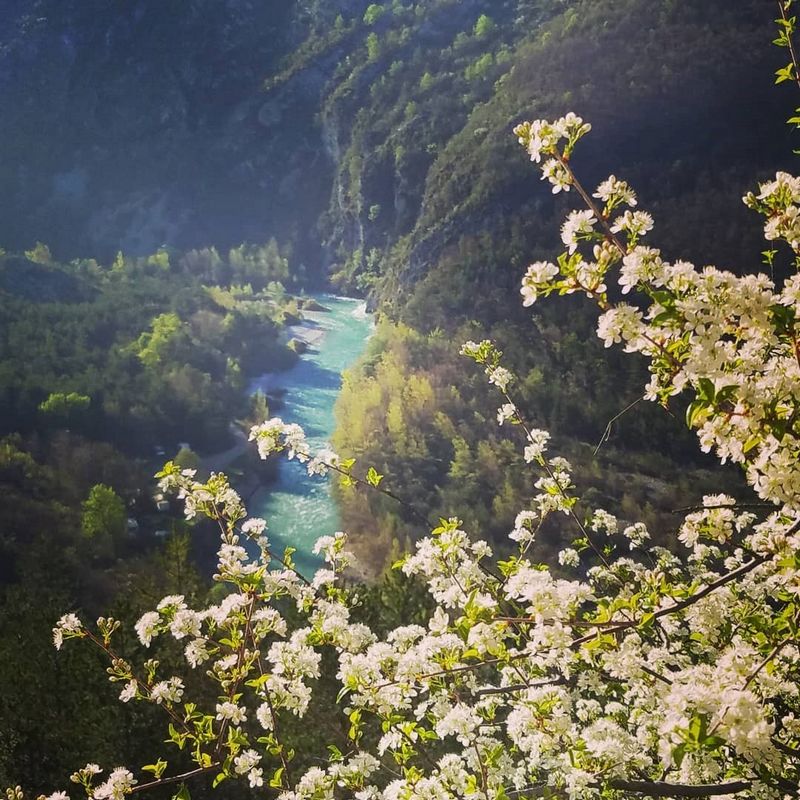 Chasteuil Verdon Provence