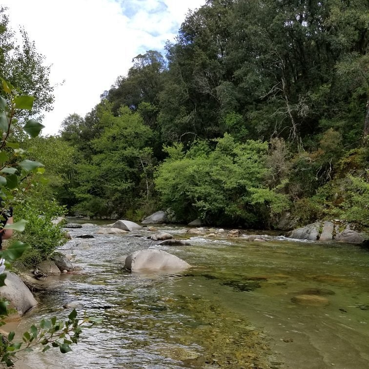 Camping les Eaux Vives Corse du Sud