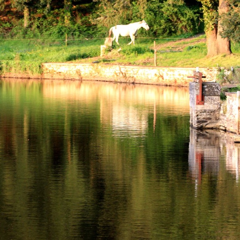 Les chambres d'hôtes du moulin de Marsaguet