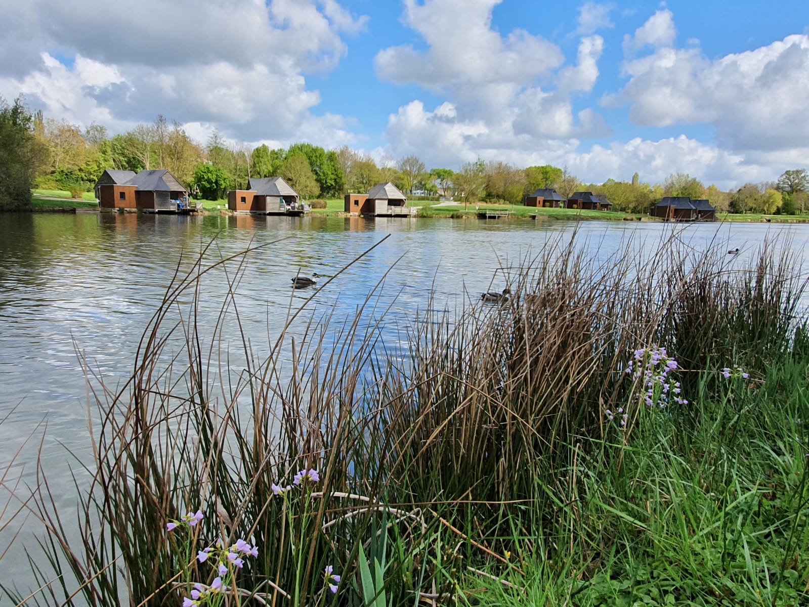 Gîte - Chalet la Carpe, les pieds dans l'eau - Villiers-Charlemagne, Pays  de la Loire