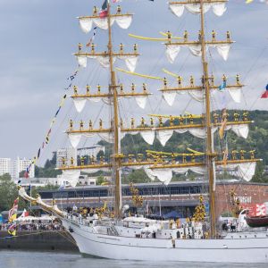 Image Armada de Rouen